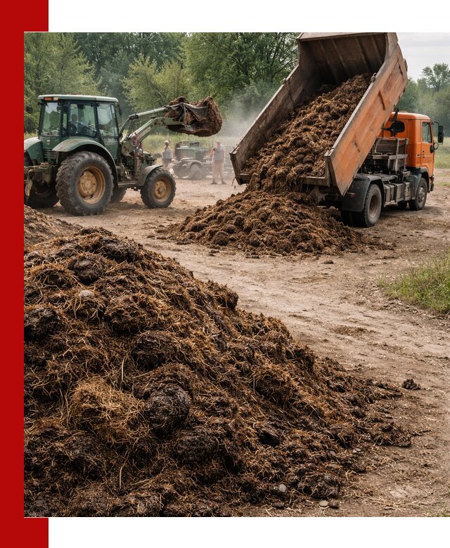 Доставка навоза самосвалами в Вольске для сельхозпотребностей