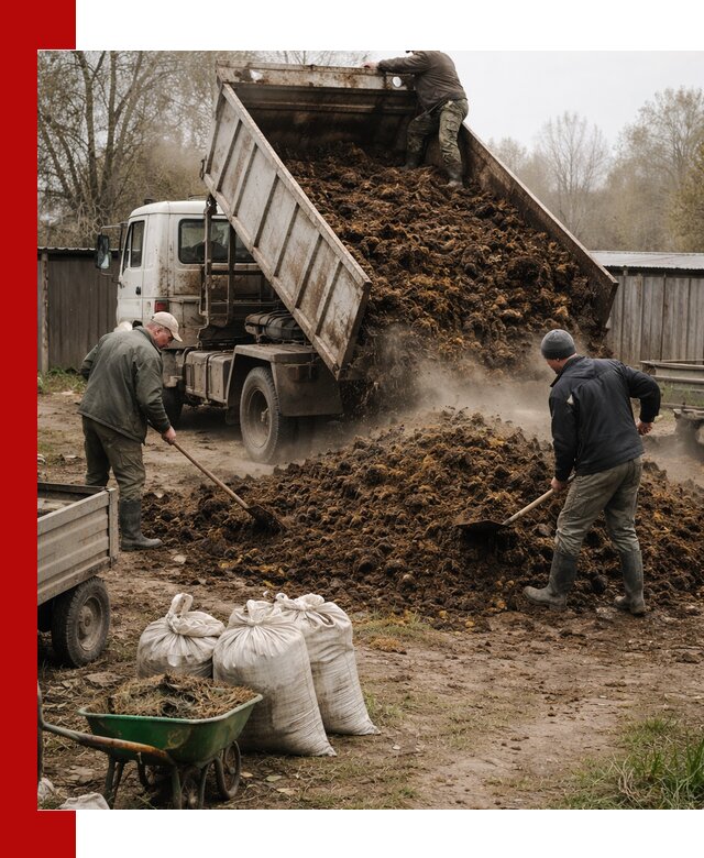 Доставка коровьего навоза самосвалом в Вольске
